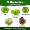 imageHOME GROWN 5 Lettuce Seed Pack  3950 Heirloom Vegetable Seeds for Indoor Outdoor or Hydroponic Growing  Black Seeded Simpson Red Romaine Bibb Buttercrunch Iceberg Varieties Lactuca Sativa