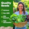 imageHOME GROWN 5 Lettuce Seed Pack  3950 Heirloom Vegetable Seeds for Indoor Outdoor or Hydroponic Growing  Black Seeded Simpson Red Romaine Bibb Buttercrunch Iceberg Varieties Lactuca Sativa