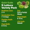 imageHOME GROWN 5 Lettuce Seed Pack  3950 Heirloom Vegetable Seeds for Indoor Outdoor or Hydroponic Growing  Black Seeded Simpson Red Romaine Bibb Buttercrunch Iceberg Varieties Lactuca Sativa