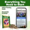 imageHOME GROWN Bachelor Button Flower Seeds Tall Mix  700 Cornflower Heirloom Seeds for Planting  Quick Blooming NonGMO Pollinator Friendly Easy to Grow Wildflowers  USA Grown Centaurea cyanusBachelors Button Tall Mix