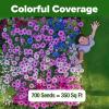 imageHOME GROWN Bachelor Button Flower Seeds Tall Mix  700 Cornflower Heirloom Seeds for Planting  Quick Blooming NonGMO Pollinator Friendly Easy to Grow Wildflowers  USA Grown Centaurea cyanusBachelors Button Tall Mix