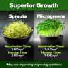 imageHOME GROWN Broccoli Seeds 8 oz  for Sprouting or Microgreens   High Germination Sprout Seeds Nutritious Micro Greens  Broccoli Sprouts in 5 days  Sulforaphane Rich8 oz