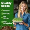 imageHOME GROWN Broccoli Seeds 8 oz  for Sprouting or Microgreens   High Germination Sprout Seeds Nutritious Micro Greens  Broccoli Sprouts in 5 days  Sulforaphane Rich8 oz