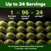 imageHOME GROWN Broccoli Seeds 8 oz  for Sprouting or Microgreens   High Germination Sprout Seeds Nutritious Micro Greens  Broccoli Sprouts in 5 days  Sulforaphane Rich8 oz