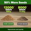 imageHOME GROWN Broccoli Seeds 8 oz  for Sprouting or Microgreens   High Germination Sprout Seeds Nutritious Micro Greens  Broccoli Sprouts in 5 days  Sulforaphane Rich15 lbs