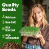 imageHOME GROWN Broccoli Seeds 8 oz  for Sprouting or Microgreens   High Germination Sprout Seeds Nutritious Micro Greens  Broccoli Sprouts in 5 days  Sulforaphane Rich16 oz