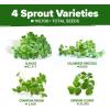 imageHOME GROWN Broccoli Seeds 8 oz  for Sprouting or Microgreens   High Germination Sprout Seeds Nutritious Micro Greens  Broccoli Sprouts in 5 days  Sulforaphane Rich16 oz