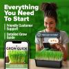 imageHOME GROWN Broccoli Seeds 8 oz  for Sprouting or Microgreens   High Germination Sprout Seeds Nutritious Micro Greens  Broccoli Sprouts in 5 days  Sulforaphane Rich15 lbs