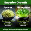 imageHOME GROWN Broccoli Seeds 8 oz  for Sprouting or Microgreens   High Germination Sprout Seeds Nutritious Micro Greens  Broccoli Sprouts in 5 days  Sulforaphane Rich16 oz