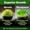 imageHOME GROWN Broccoli Seeds 8 oz  for Sprouting or Microgreens   High Germination Sprout Seeds Nutritious Micro Greens  Broccoli Sprouts in 5 days  Sulforaphane Rich16 oz