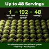imageHOME GROWN Broccoli Seeds 8 oz  for Sprouting or Microgreens   High Germination Sprout Seeds Nutritious Micro Greens  Broccoli Sprouts in 5 days  Sulforaphane Rich16 oz
