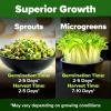 imageHOME GROWN Broccoli Seeds 8 oz  for Sprouting or Microgreens   High Germination Sprout Seeds Nutritious Micro Greens  Broccoli Sprouts in 5 days  Sulforaphane Rich15 lbs