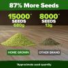 imageHOME GROWN Broccoli Seeds 8 oz  for Sprouting or Microgreens   High Germination Sprout Seeds Nutritious Micro Greens  Broccoli Sprouts in 5 days  Sulforaphane Rich15 lbs