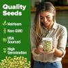 imageHOME GROWN Broccoli Seeds 8 oz  for Sprouting or Microgreens   High Germination Sprout Seeds Nutritious Micro Greens  Broccoli Sprouts in 5 days  Sulforaphane Rich15 lbs
