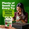 imageHOME GROWN Broccoli Seeds 8 oz  for Sprouting or Microgreens   High Germination Sprout Seeds Nutritious Micro Greens  Broccoli Sprouts in 5 days  Sulforaphane Rich15 lbs