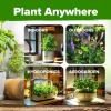 imageHOME GROWN Medicinal Herb Seeds Vault  2000 Seeds 6   Heirloom Varieties for Indoor ampamp Outdoor Garden  Lavender ChamomileMintLemon BalmPeppermintEchinacea Garden MarkersTea Herb 6Pack