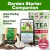 imageHOME GROWN Medicinal Herb Seeds Vault  2000 Seeds 6   Heirloom Varieties for Indoor ampamp Outdoor Garden  Lavender ChamomileMintLemon BalmPeppermintEchinacea Garden MarkersTea Herb 6Pack