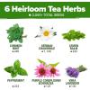 imageHOME GROWN Medicinal Herb Seeds Vault  2000 Seeds 6   Heirloom Varieties for Indoor ampamp Outdoor Garden  Lavender ChamomileMintLemon BalmPeppermintEchinacea Garden MarkersTea Herb 6Pack