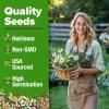 imageHOME GROWN Medicinal Herb Seeds Vault  2000 Seeds 6   Heirloom Varieties for Indoor ampamp Outdoor Garden  Lavender ChamomileMintLemon BalmPeppermintEchinacea Garden MarkersTea Herb 6Pack