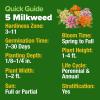 imageHOME GROWN Milkweed Flower Seeds  500 Heirloom Perennial Wildflower Seeds 5 Individual Varieties Supports Monarch Habitat Grows in Zones 310 Asclepias syriaca