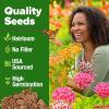 imageHOME GROWN Milkweed Flower Seeds  500 Heirloom Perennial Wildflower Seeds 5 Individual Varieties Supports Monarch Habitat Grows in Zones 310 Asclepias syriaca