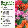 imageHOME GROWN Milkweed Flower Seeds  500 Heirloom Perennial Wildflower Seeds 5 Individual Varieties Supports Monarch Habitat Grows in Zones 310 Asclepias syriaca
