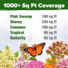 imageHOME GROWN Milkweed Flower Seeds  500 Heirloom Perennial Wildflower Seeds 5 Individual Varieties Supports Monarch Habitat Grows in Zones 310 Asclepias syriaca