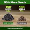 imageHOME GROWN Morning Glory SeedsHeavenly Blue 2 Pack 300  Heirloom Morning Glories Vine Seeds for Planting Ideal for a Flower Garden That Attracts Pollinators and BirdsIpomoea tricolorChocolate Cherry Sunflower 2Pack