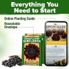 imageHOME GROWN Morning Glory SeedsHeavenly Blue 2 Pack 300  Heirloom Morning Glories Vine Seeds for Planting Ideal for a Flower Garden That Attracts Pollinators and BirdsIpomoea tricolorChocolate Cherry Sunflower 2Pack