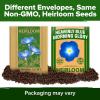 imageHOME GROWN Morning Glory SeedsHeavenly Blue 2 Pack 300  Heirloom Morning Glories Vine Seeds for Planting Ideal for a Flower Garden That Attracts Pollinators and BirdsIpomoea tricolorMorning Glory 2Pack