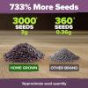imageHOME GROWN Premium Common Mint Seeds Bulk Pack 3600   Heirloom Herb Seeds USA Sourced  Ideal for Planting Outdoors or Indoors for a Fresh Mint Tea Garden Mentha sppLavender 2Pack