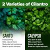 imageHOME GROWN Premium Common Mint Seeds Bulk Pack 3600   Heirloom Herb Seeds USA Sourced  Ideal for Planting Outdoors or Indoors for a Fresh Mint Tea Garden Mentha sppSanto Calypso 2Pack