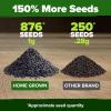 imageHOME GROWN Premium Common Mint Seeds Bulk Pack 3600   Heirloom Herb Seeds USA Sourced  Ideal for Planting Outdoors or Indoors for a Fresh Mint Tea Garden Mentha sppThai Basil 2Pack