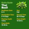 imageHOME GROWN Premium Common Mint Seeds Bulk Pack 3600   Heirloom Herb Seeds USA Sourced  Ideal for Planting Outdoors or Indoors for a Fresh Mint Tea Garden Mentha sppThai Basil 2Pack