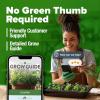imageHOME GROWN Premium Common Mint Seeds Bulk Pack 3600   Heirloom Herb Seeds USA Sourced  Ideal for Planting Outdoors or Indoors for a Fresh Mint Tea Garden Mentha sppSanto Calypso 2Pack