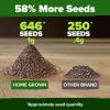 imageHOME GROWN Premium Common Mint Seeds Bulk Pack 3600   Heirloom Herb Seeds USA Sourced  Ideal for Planting Outdoors or Indoors for a Fresh Mint Tea Garden Mentha sppWhite Sage 2Pack