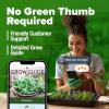 imageHOME GROWN Premium Common Mint Seeds Bulk Pack 3600   Heirloom Herb Seeds USA Sourced  Ideal for Planting Outdoors or Indoors for a Fresh Mint Tea Garden Mentha sppRosemary 2Pack