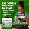 imageHOME GROWN Premium Common Mint Seeds Bulk Pack 3600   Heirloom Herb Seeds USA Sourced  Ideal for Planting Outdoors or Indoors for a Fresh Mint Tea Garden Mentha sppWhite Sage 2Pack