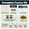 imageHOME GROWN Succulent ampamp Cactus Seed Kit for Planting  Enthusiasts Favorites Premium Cactus ampamp Succulent Starter Kit 4 Planters Drip Trays Markers Seeds Mix Soil  DIY Gift KitsCactus Garden Kit