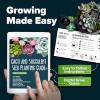 imageHOME GROWN Succulent ampamp Cactus Seed Kit for Planting  Enthusiasts Favorites Premium Cactus ampamp Succulent Starter Kit 4 Planters Drip Trays Markers Seeds Mix Soil  DIY Gift KitsCactus Garden Kit