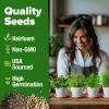 imageHOME GROWN Succulent ampamp Cactus Seed Kit for Planting  Enthusiasts Favorites Premium Cactus ampamp Succulent Starter Kit 4 Planters Drip Trays Markers Seeds Mix Soil  DIY Gift KitsHerb Garden Kit