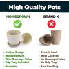 imageHOME GROWN Succulent ampamp Cactus Seed Kit for Planting  Enthusiasts Favorites Premium Cactus ampamp Succulent Starter Kit 4 Planters Drip Trays Markers Seeds Mix Soil  DIY Gift KitsCactus Garden Kit