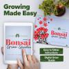 imageHome Grown Bonsai Tree Kit  Premium Ceramic Starter Set with 4 Bonsai Varieties  Easy Indoor Gardening Gift for Men ampamp Women  Unique Plant Kit for Beginners ampamp Nature Lovers