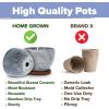 imageHome Grown Bonsai Tree Kit  Premium Ceramic Starter Set with 4 Bonsai Varieties  Easy Indoor Gardening Gift for Men ampamp Women  Unique Plant Kit for Beginners ampamp Nature Lovers