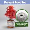 imageHome Grown Bonsai Tree Kit  Premium Ceramic Starter Set with 4 Bonsai Varieties  Easy Indoor Gardening Gift for Men ampamp Women  Unique Plant Kit for Beginners ampamp Nature Lovers