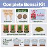 imageHome Grown Bonsai Tree Kit  Premium Ceramic Starter Set with 4 Bonsai Varieties  Easy Indoor Gardening Gift for Men ampamp Women  Unique Plant Kit for Beginners ampamp Nature Lovers