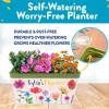 imageHome Grown Paint ampamp Grow Flower Gardening Kit Set for Boys and Girls  Craft Activity Toy for Kids Ages 5 6 7 812 Years Old  Unique Birthday Present  Plant Gift Toys