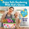 imageHome Grown Paint ampamp Grow Flower Gardening Kit Set for Boys and Girls  Craft Activity Toy for Kids Ages 5 6 7 812 Years Old  Unique Birthday Present  Plant Gift Toys