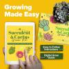 imageSucculent ampamp Cactus Grow Kit  Complete Plant Gift Set with 4 Ceramic Pots ampamp Trays 6 Seed Packs 3 Cactus 3 Succulent Plant Markers Peat Pellets Nutrients ampamp Guide  Ideal Holiday ampamp Birthday Gift