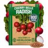 Radish